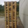 crate of kiln dried birch