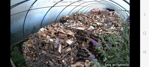 Dublin Logs large pollytunnel full of firewood logs for sale 